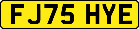 FJ75HYE