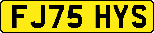 FJ75HYS