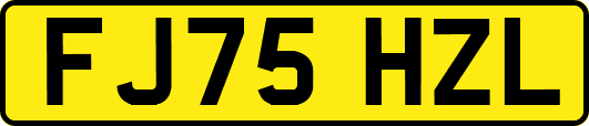 FJ75HZL