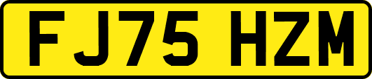 FJ75HZM