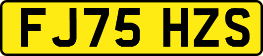 FJ75HZS