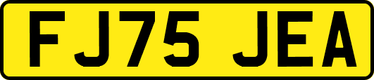 FJ75JEA