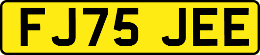 FJ75JEE