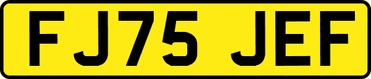 FJ75JEF