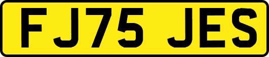 FJ75JES