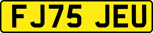 FJ75JEU