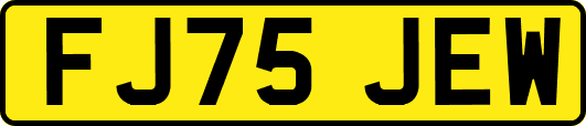 FJ75JEW
