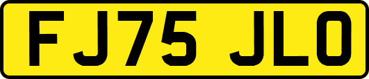 FJ75JLO