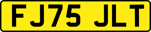 FJ75JLT
