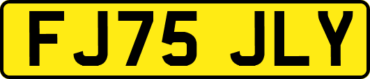 FJ75JLY