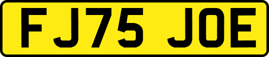 FJ75JOE