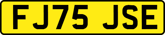FJ75JSE