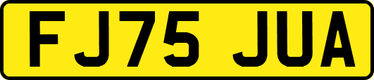 FJ75JUA