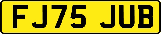 FJ75JUB