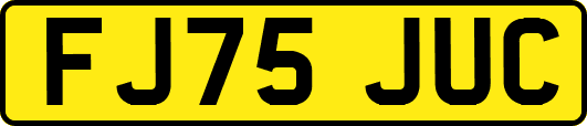 FJ75JUC