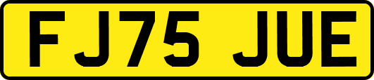 FJ75JUE