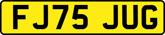 FJ75JUG