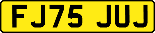 FJ75JUJ