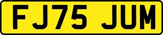 FJ75JUM