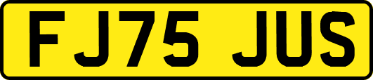 FJ75JUS