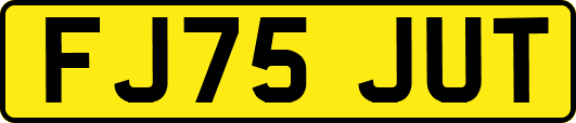 FJ75JUT
