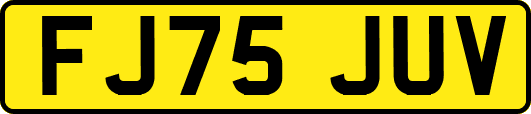 FJ75JUV