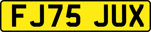FJ75JUX