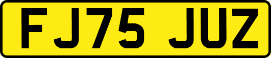 FJ75JUZ