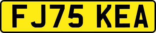 FJ75KEA