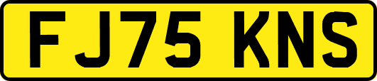 FJ75KNS