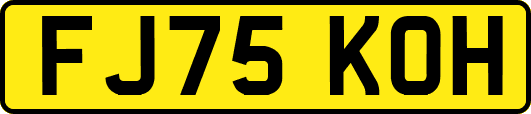 FJ75KOH