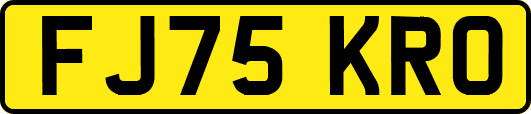 FJ75KRO