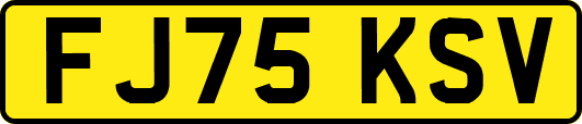 FJ75KSV