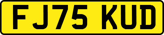 FJ75KUD