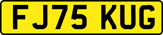 FJ75KUG