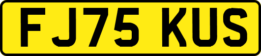 FJ75KUS