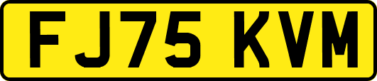 FJ75KVM