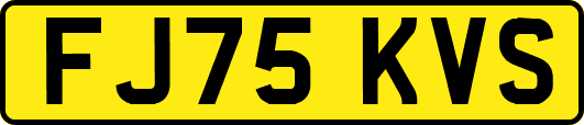 FJ75KVS