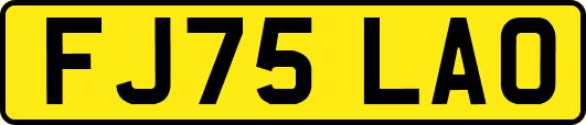 FJ75LAO