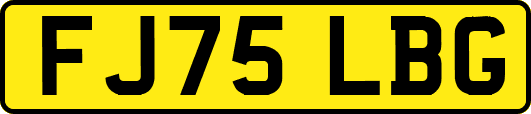 FJ75LBG
