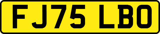 FJ75LBO
