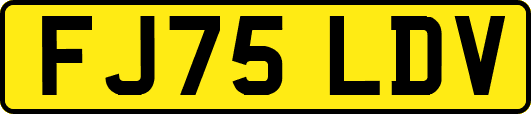 FJ75LDV