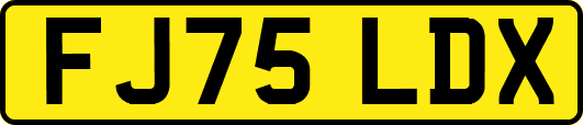 FJ75LDX