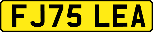 FJ75LEA