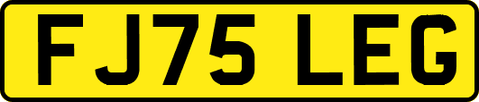 FJ75LEG