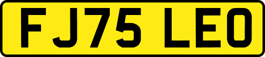 FJ75LEO