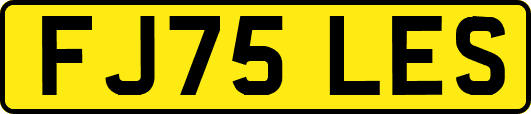 FJ75LES