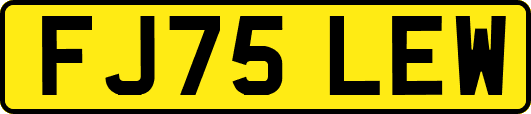 FJ75LEW