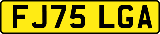 FJ75LGA