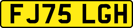 FJ75LGH